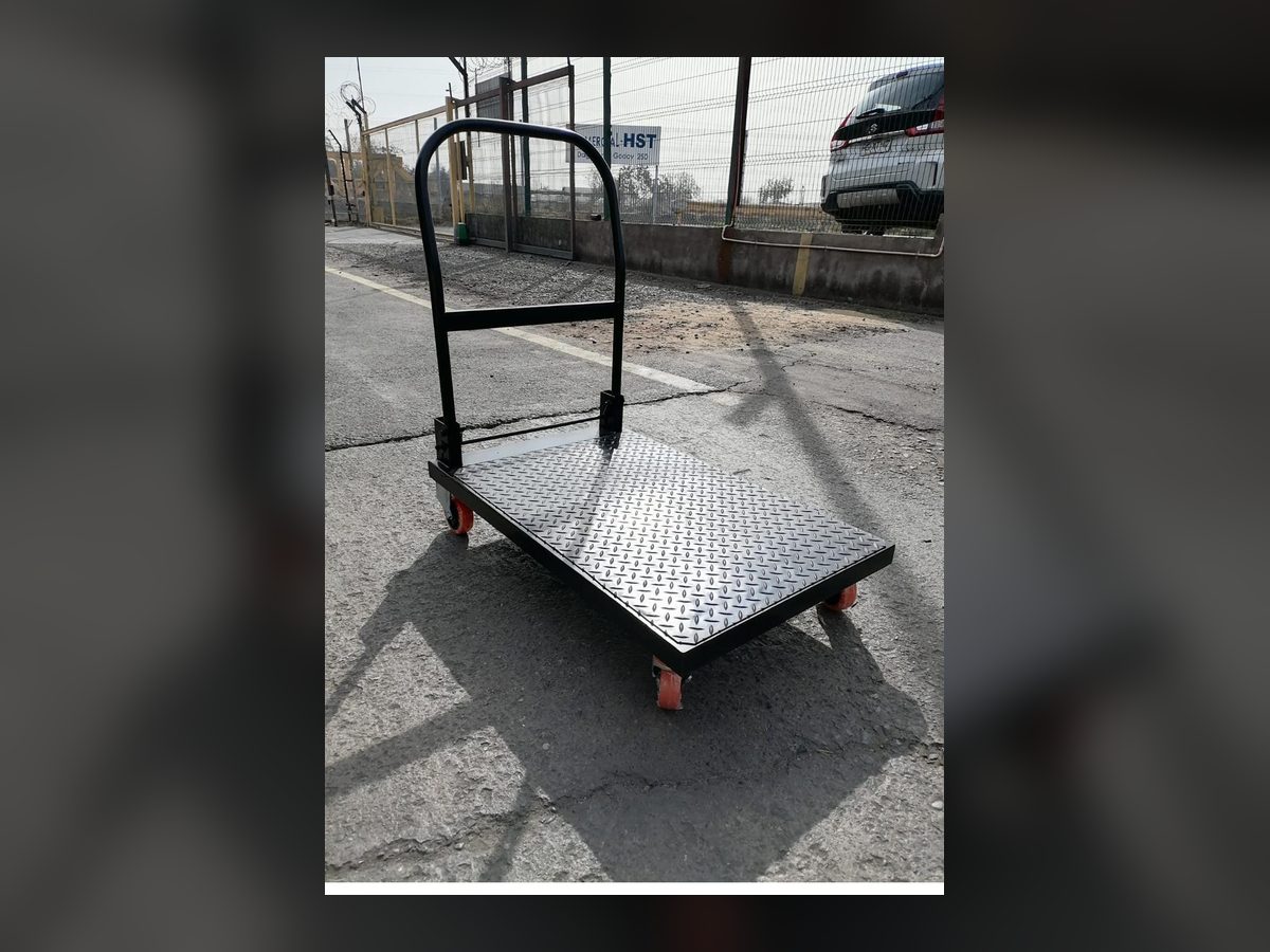 Carros Utilitarios / Plataformas